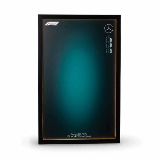 Premium Metal LED Frame